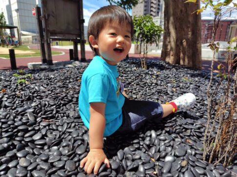 高知市横堀公園リニューアル