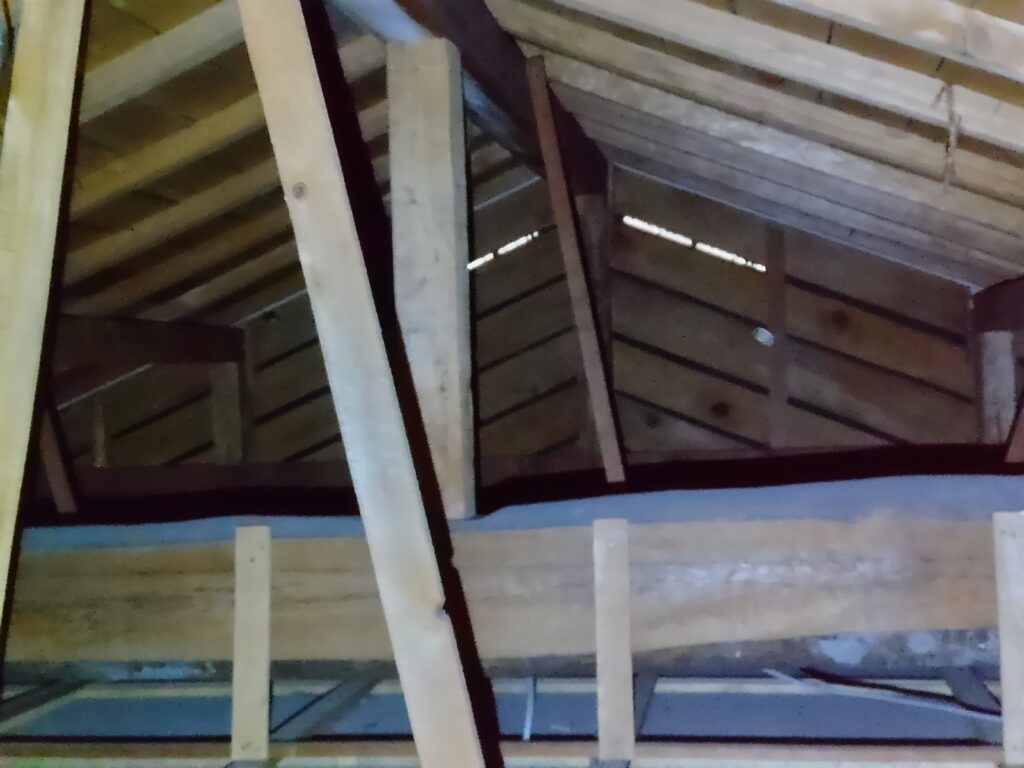 小屋裏調査