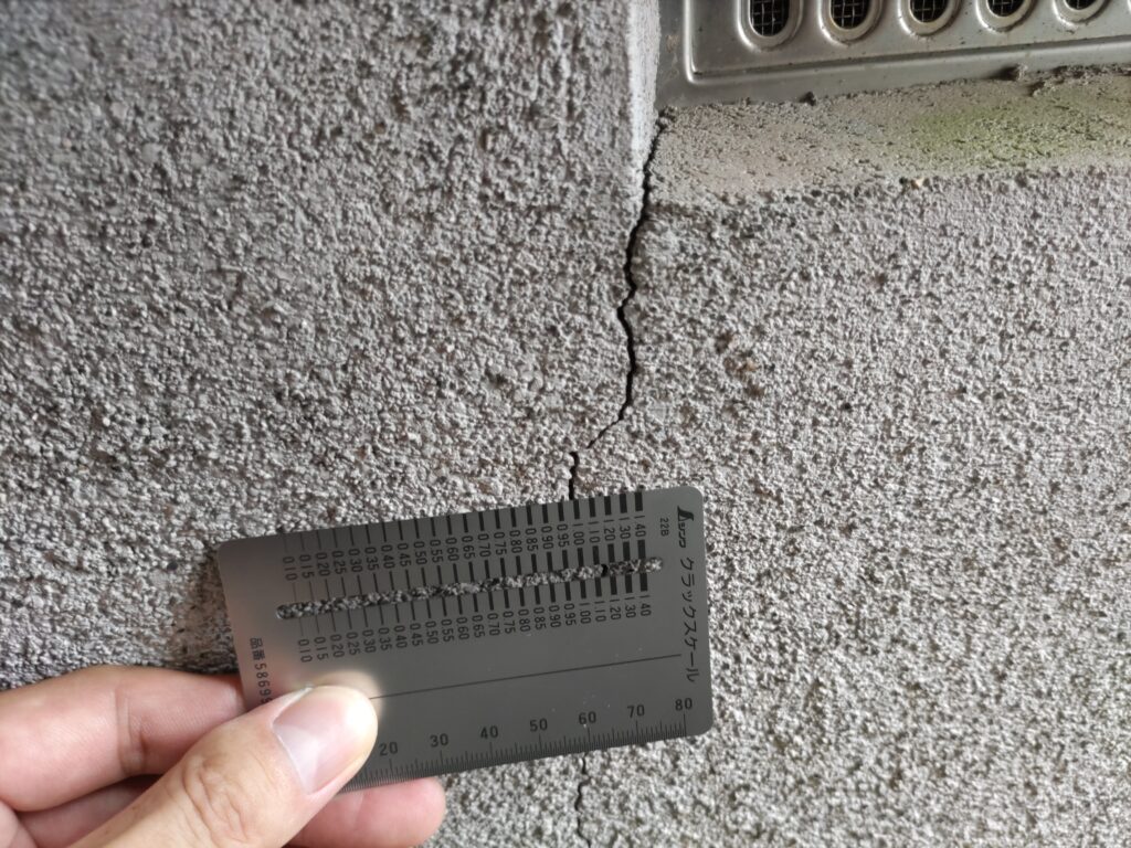 基礎調査