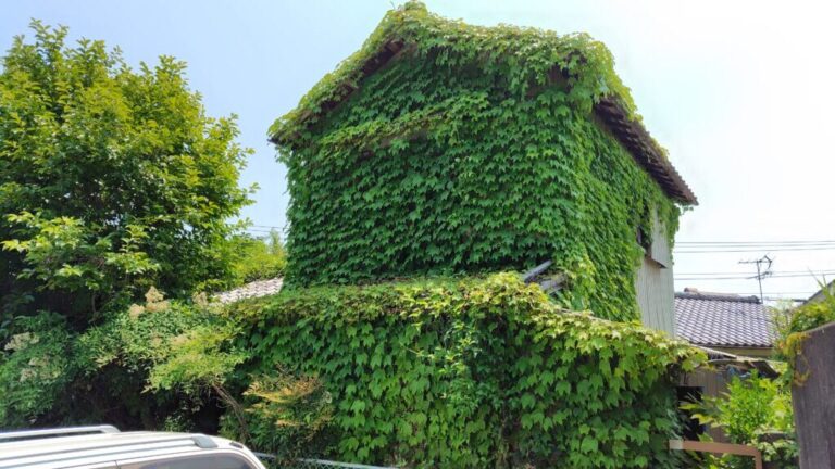 雑草やツル植物に覆われ、外壁や敷地がほとんど見えない状態の空き家