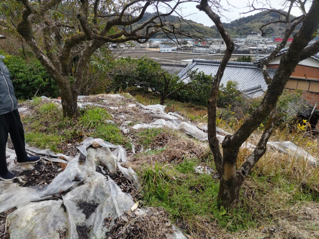 市街化調整区域高知市介良