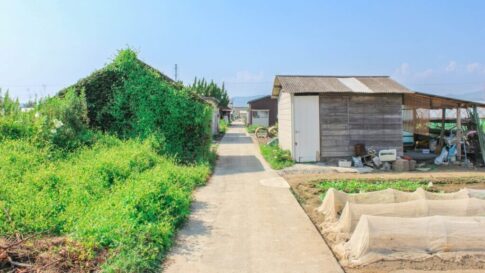非農地証明