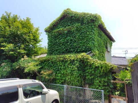 特定空家