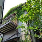 高知市の特定空家等外観