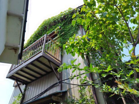 高知市の特定空家等外観