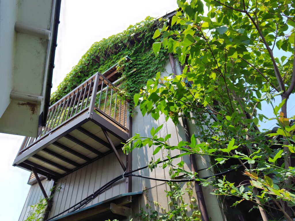 特定空家