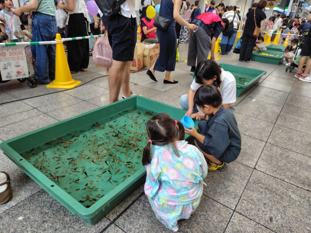 土曜夜市高知金魚すくい