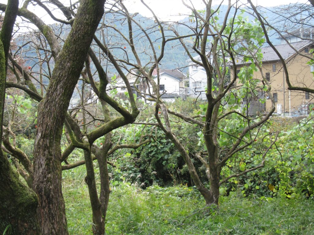 農地転用高知県