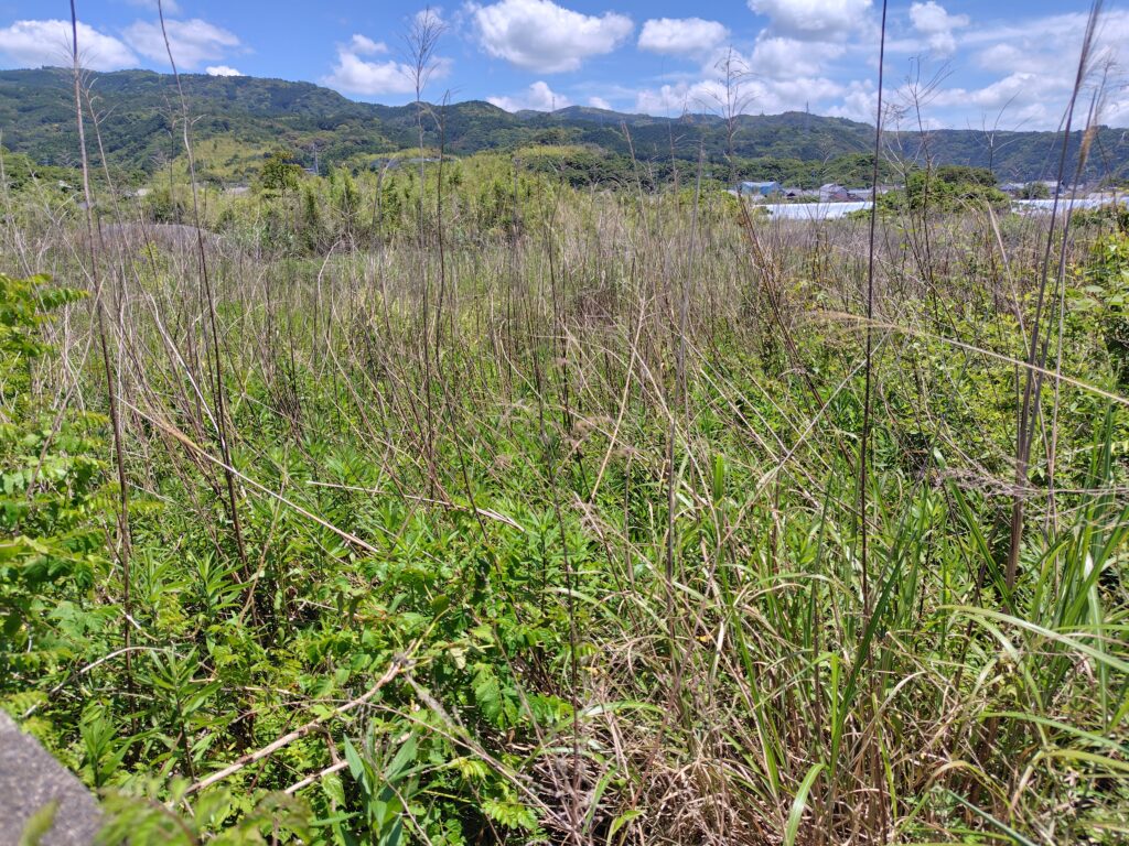 相続土地国庫帰属制度の申請代行をする高知県の宅地イメージ