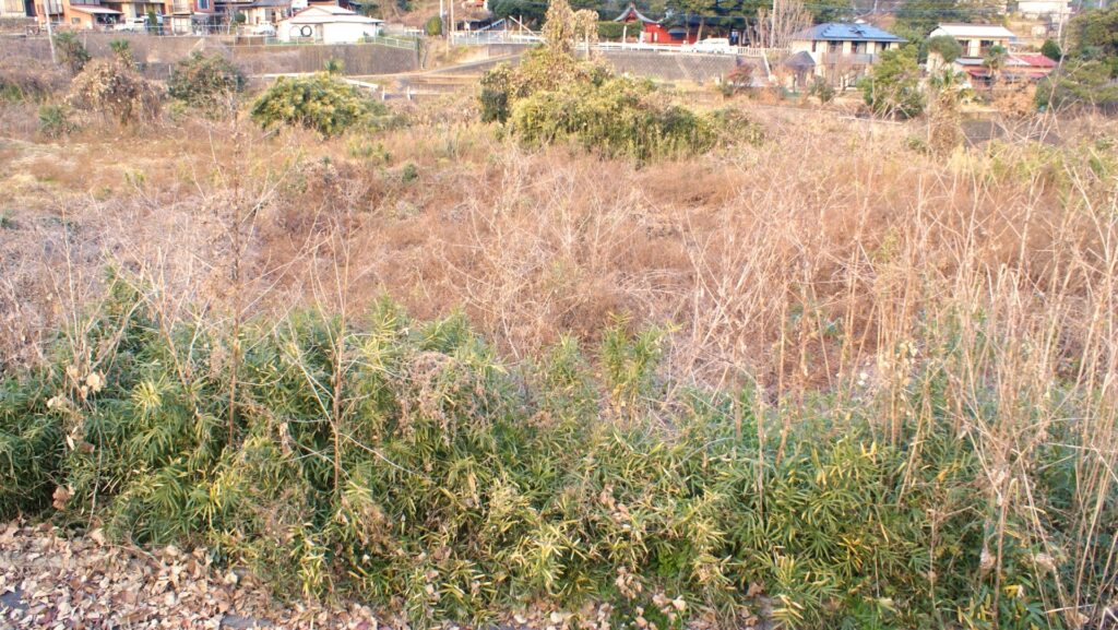 高知県売れない土地