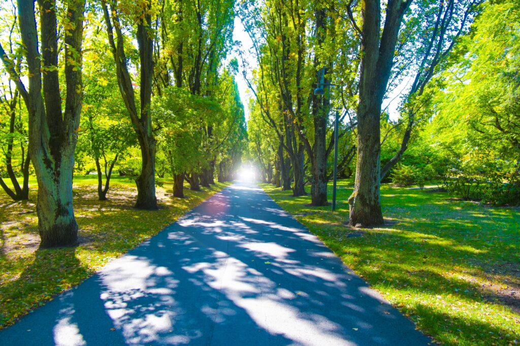 任意売却高知県不動産会社