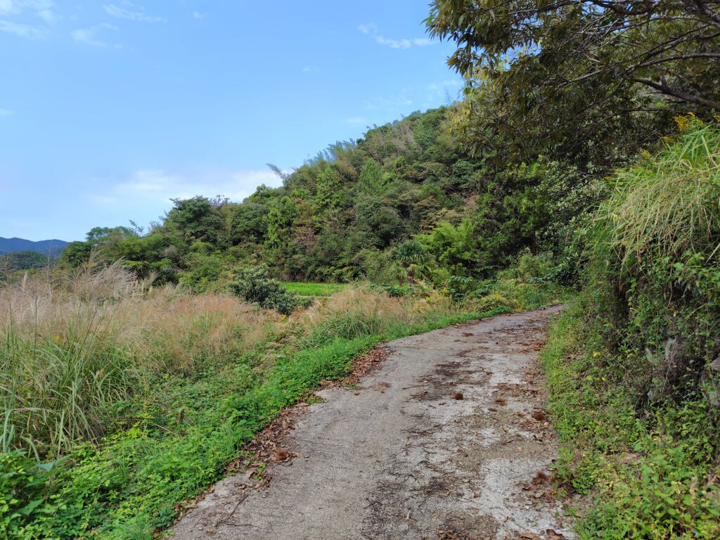 山林売却高知県