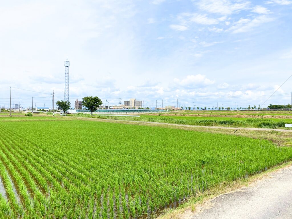 市街化調整区域土地売買高知