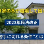 空き家勝手に枝切り
