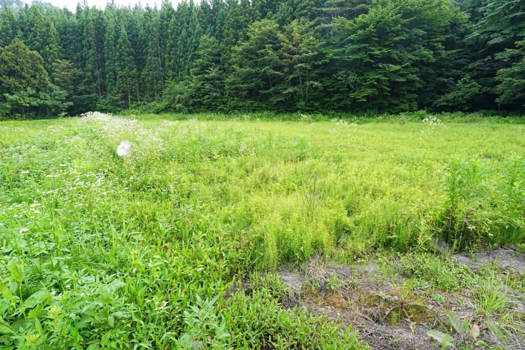 高知県耕作放棄地売却