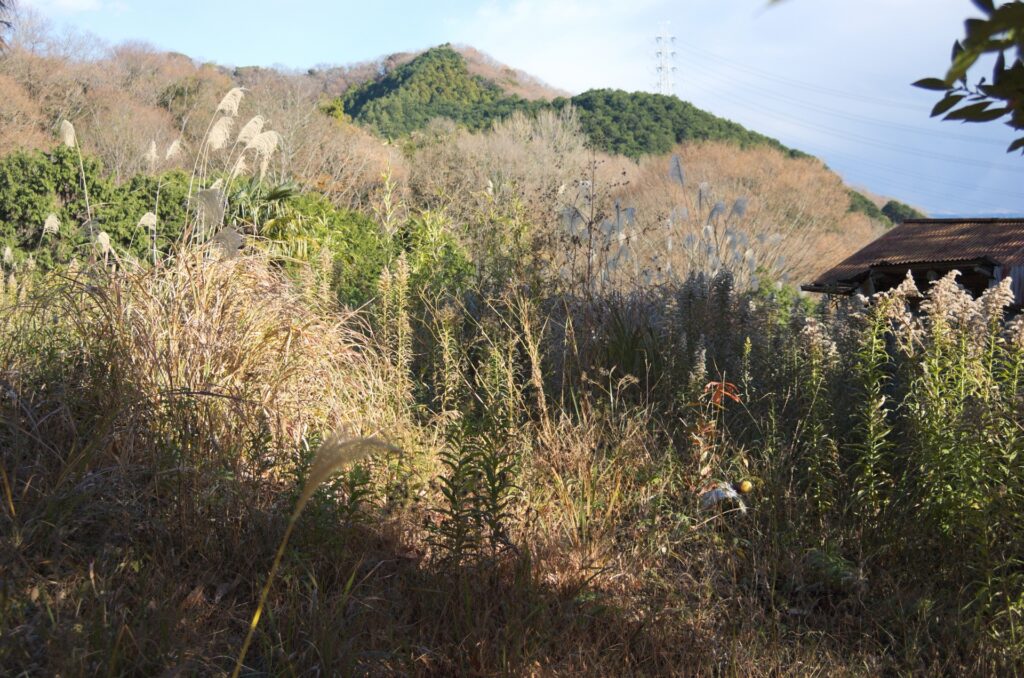 高知県山林売却
