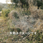 高知県の相続不動産・空き家問題解決事例