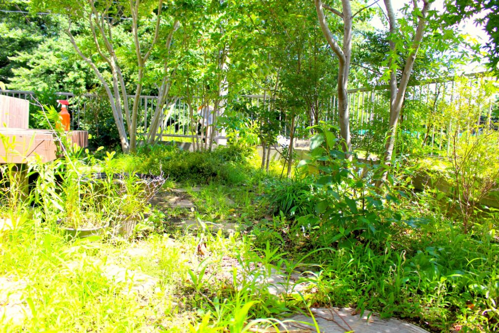 空き家草木越境