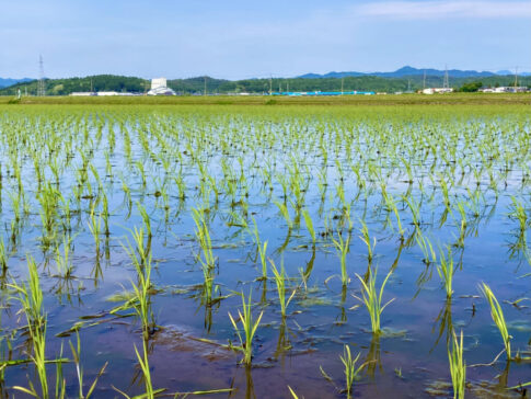 高知県の農地集約化