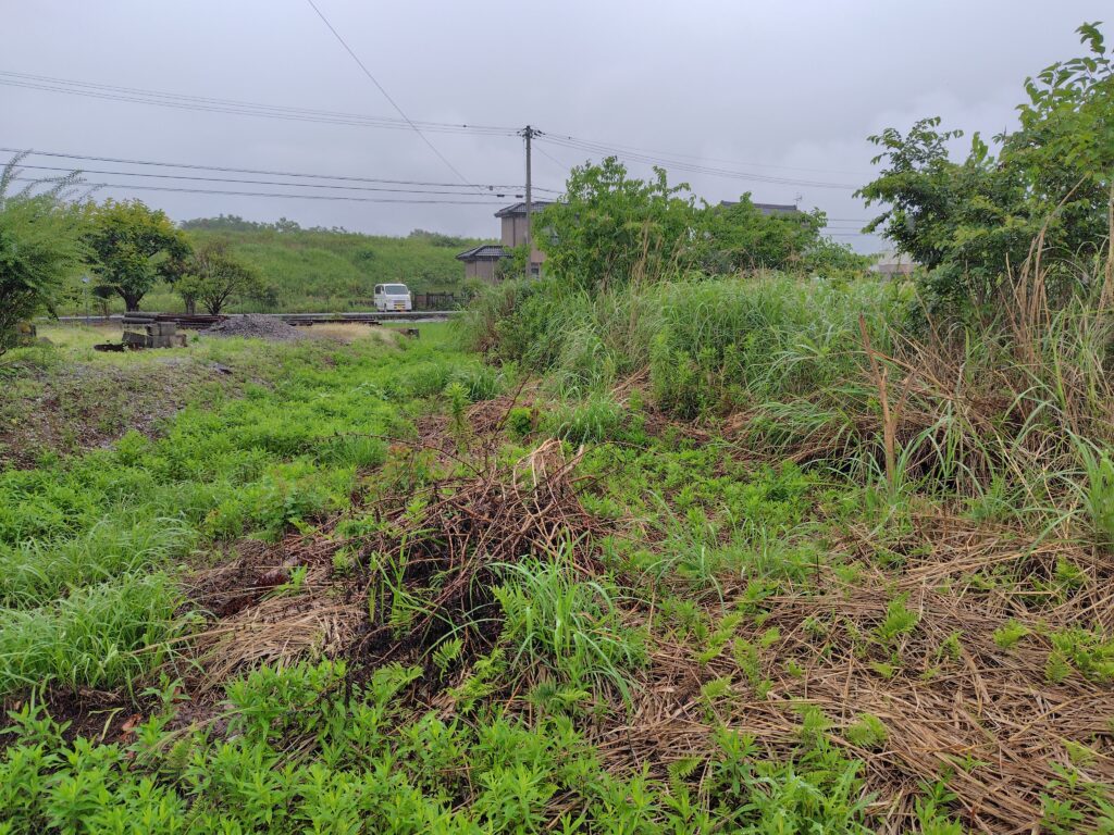 土佐市高岡町の売れない草だらけの宅地
