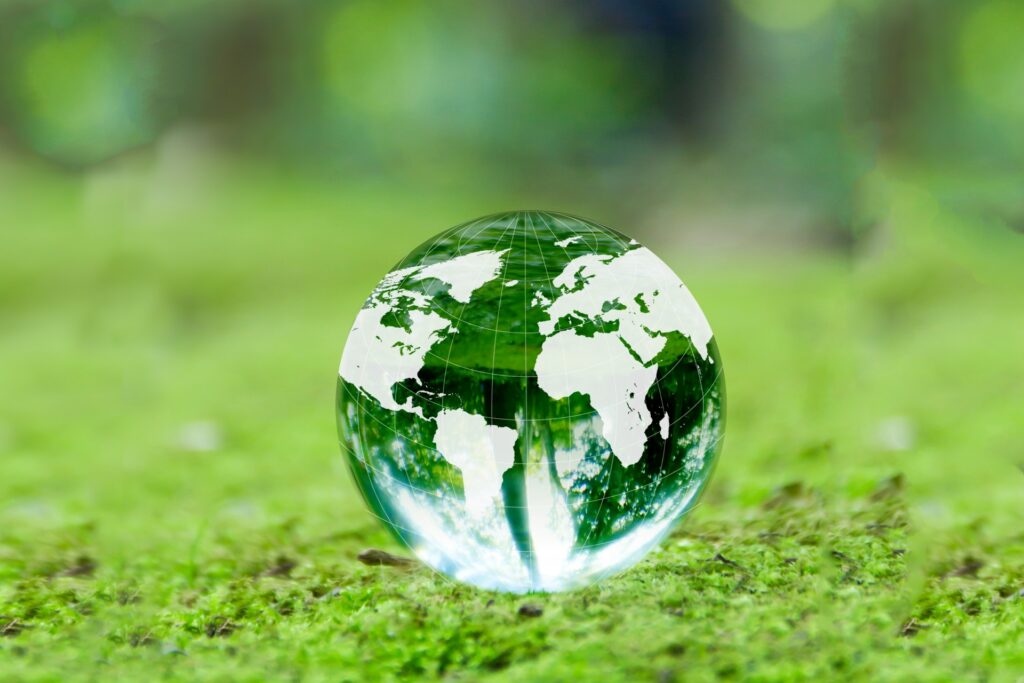 空き家バイアウト