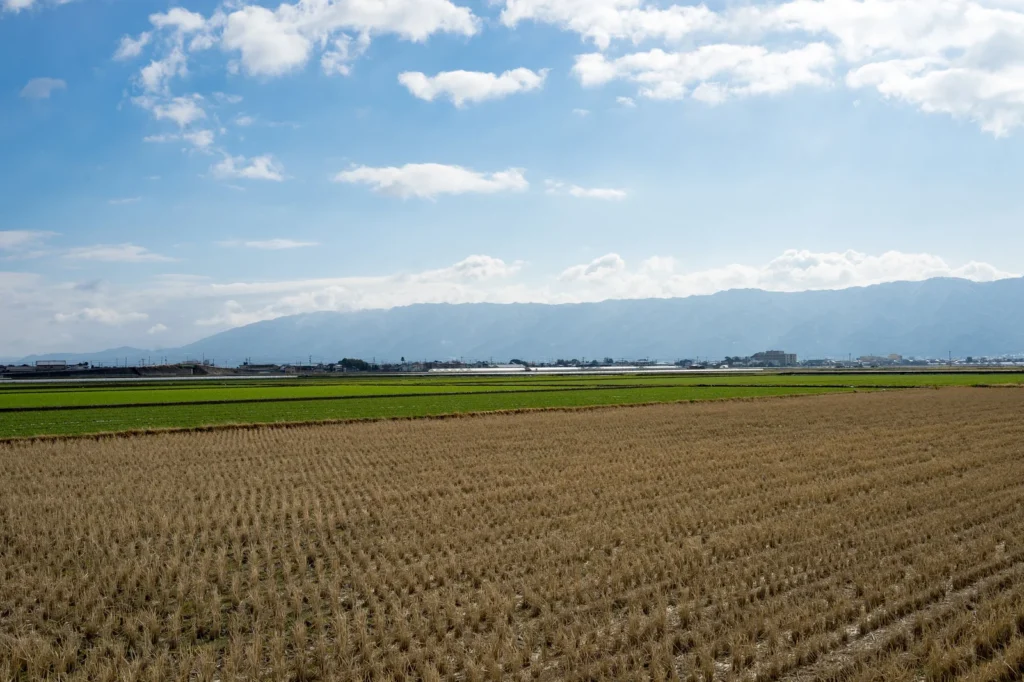 コンパクトシティ高知県