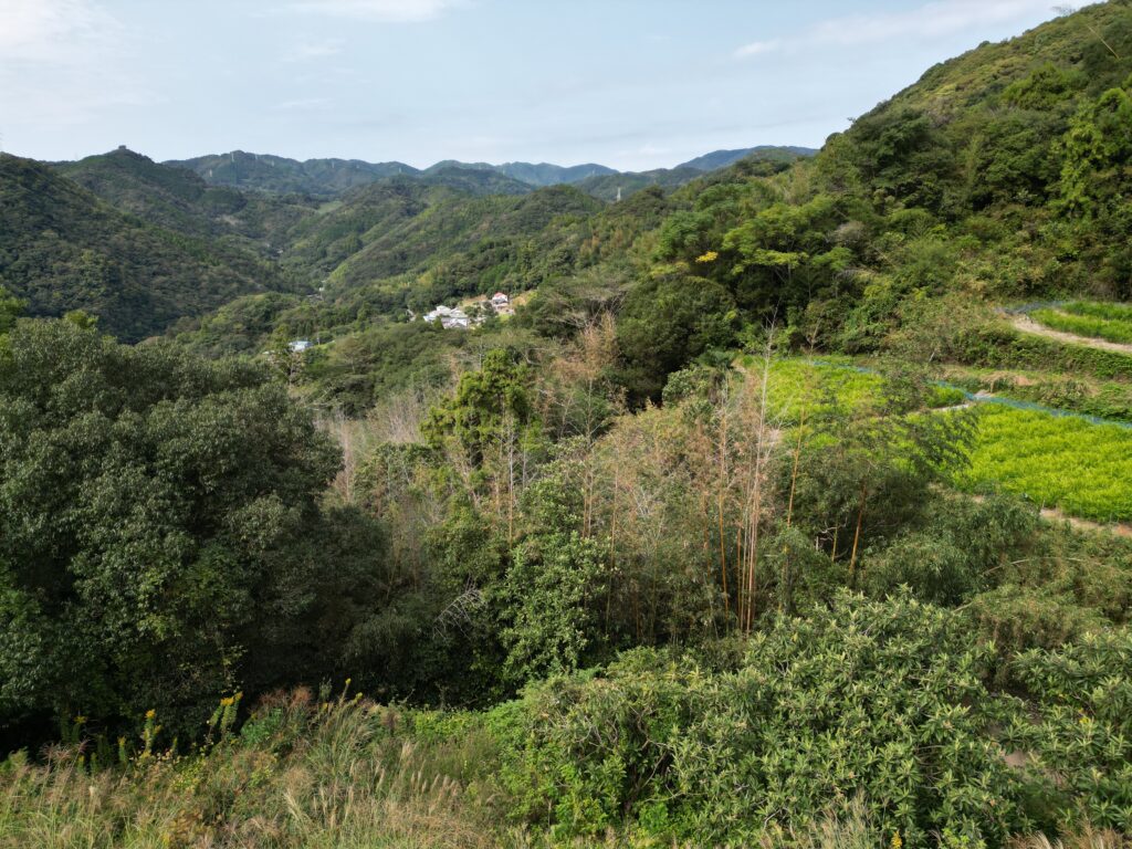 高知県山林売却・処分