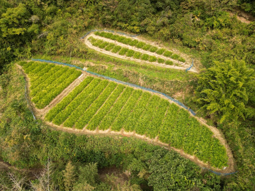 山林売却高知県