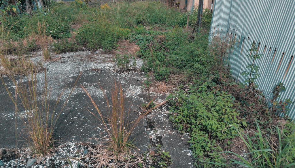 高知県相続空き地買取・売却・処分