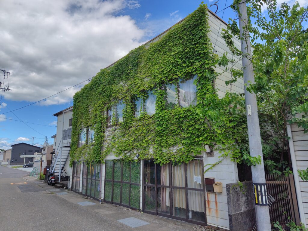 高知市中須賀ツタの生えた空き家