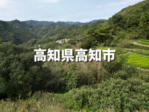高知県山林売却・処分