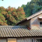 高知県低廉な空家等の媒介の特例