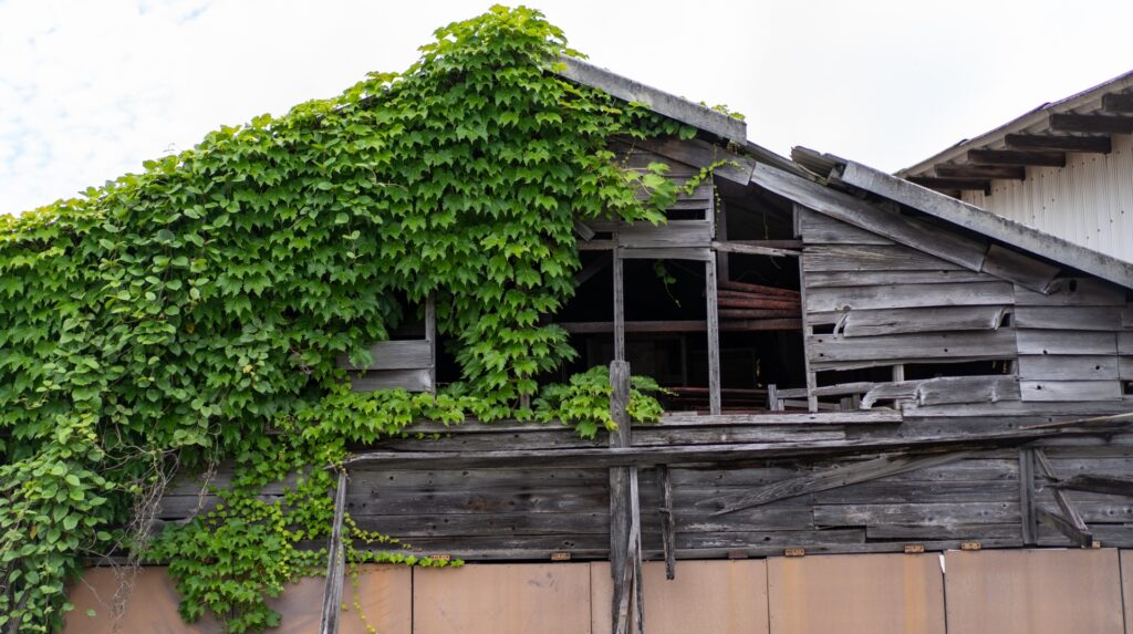 不動産相続放棄予納金