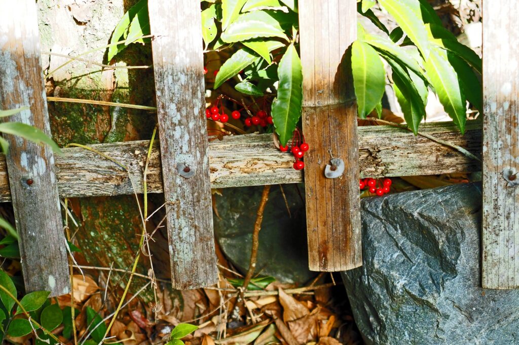 境界トラブル高知県