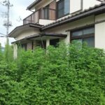 高知県の売れない家