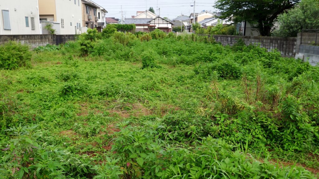 高知県の売れない土地