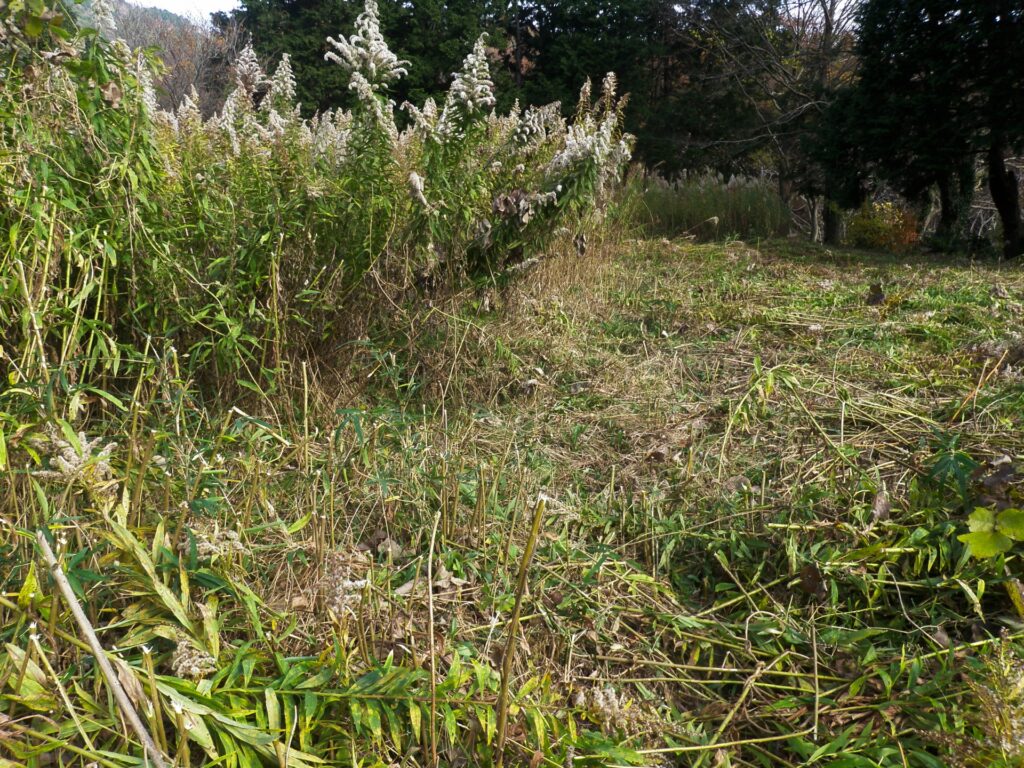 地目変更登記高知県