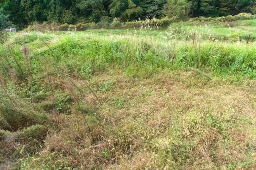 負動産と化した農地