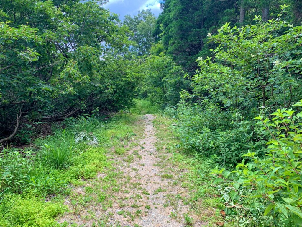 山林負動産高知県