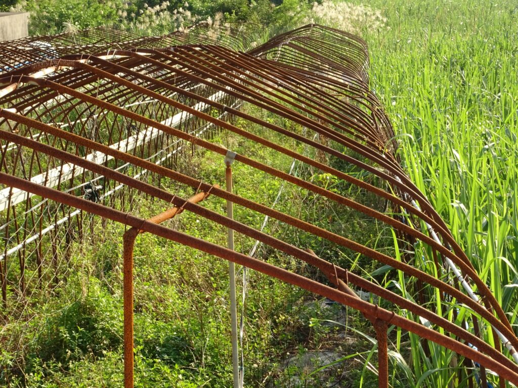 耕作放棄地高知県