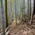 竹林管理国庫帰属制度破綻