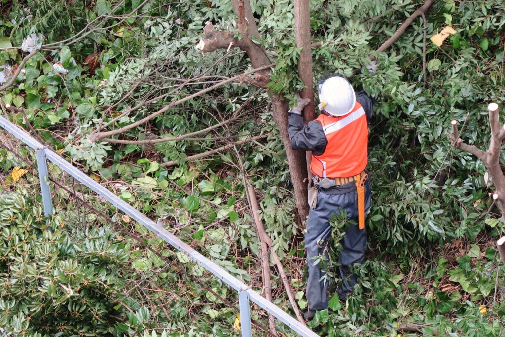 竹林伐採作業員国庫帰属制度破綻