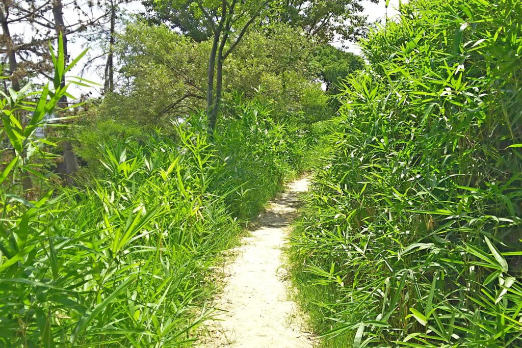 路線価ゼロ土地高知県