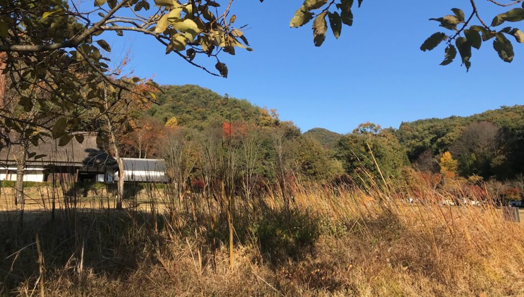 路線価ゼロ土地高知県