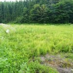 路線価ゼロ土地高知県