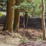 山林相続高知県