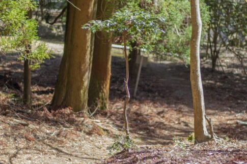 山林相続高知県