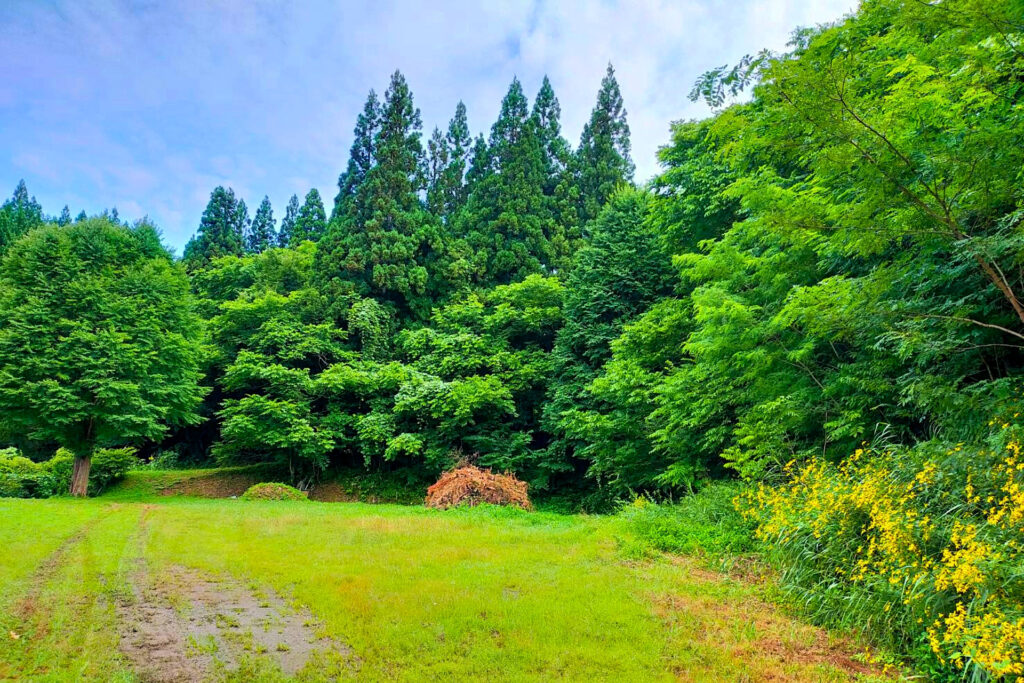 負動産責任山林