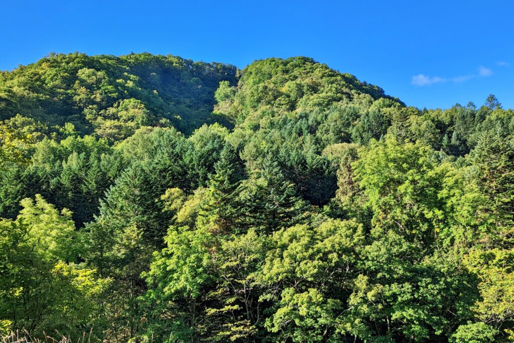山林相続高知県