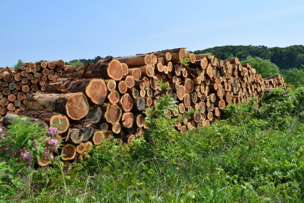 山林相続高知県